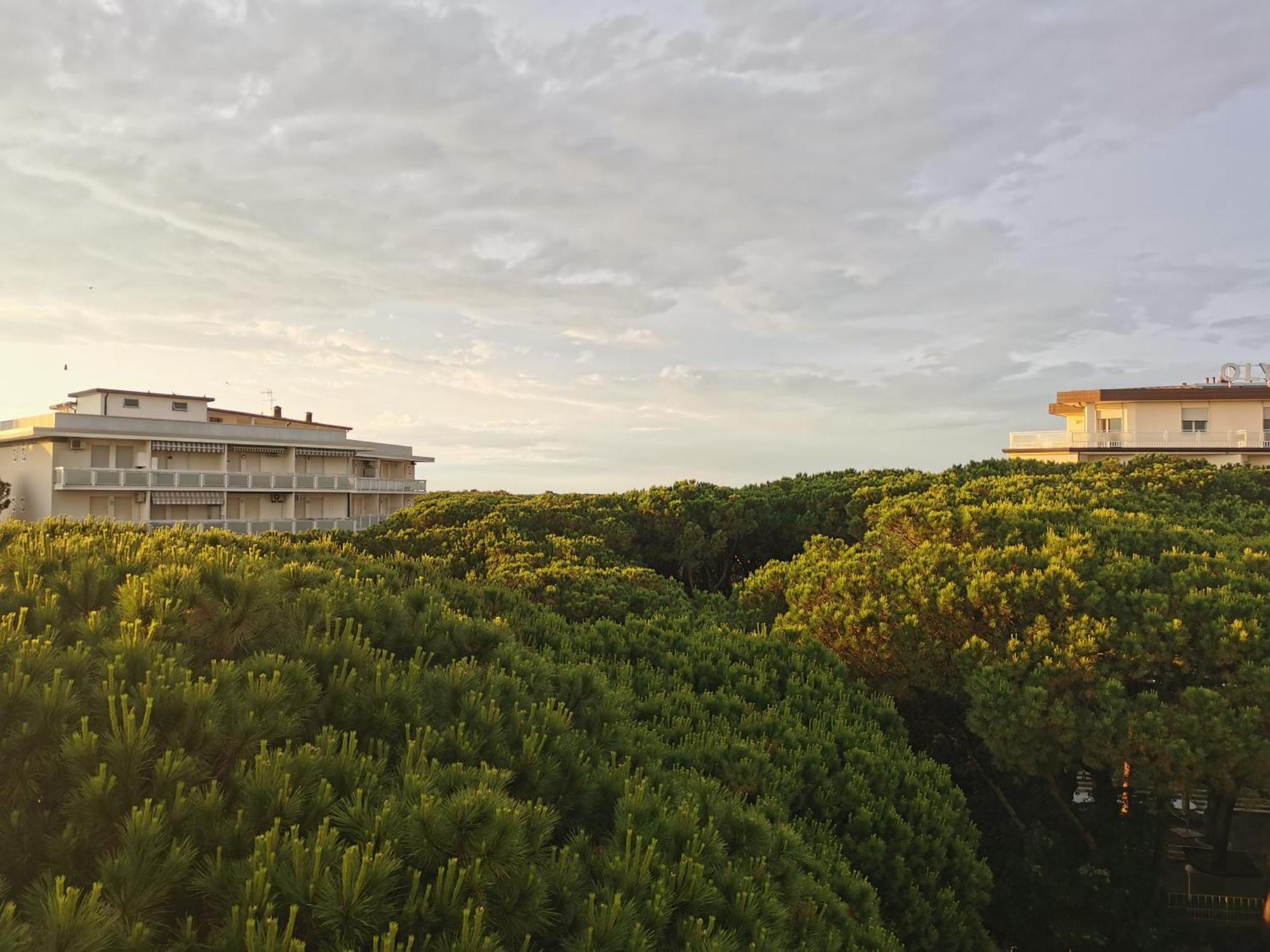 Hotel Pine Beach Rosolina Mare Εξωτερικό φωτογραφία